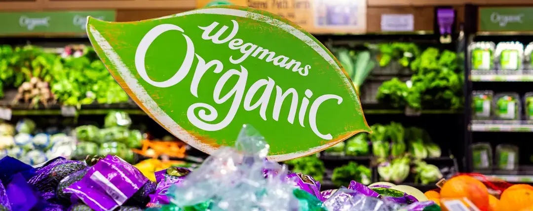 eco-friendly promotional signs